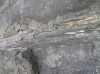 fossilised wood at Curio Bay