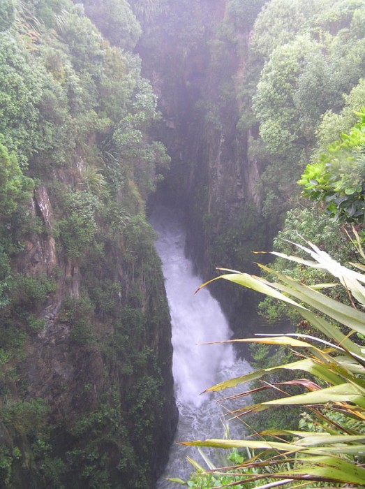 Jacks blowhole -The blowhole is in Tunnel Rocks Scenic Reserve and is a large hole 55 metres deep, 200 metres from the sea.