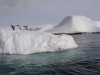 Islets and Adelie penguins