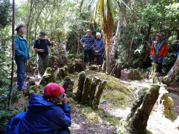 Remaining ponga where Richard Henry kept kiwi for release
