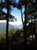 View of Lake Manapouri from Circle track