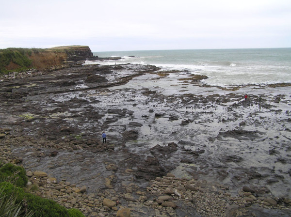 Curio Bay