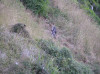 two adults walking up the cliff