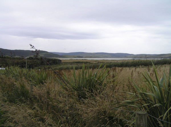Near Curio Bay and Waikawa