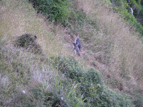 two adults walking up the cliff