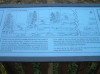 Fossilised forest info