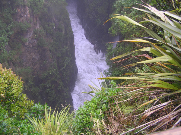 Jacks blowhole