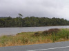 Near Papatowai