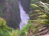Jacks blowhole