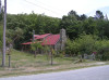 nice little cottage with great permaculture garden