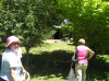Sue and Kev's house in the trees