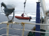 Loading the Naiad back on board