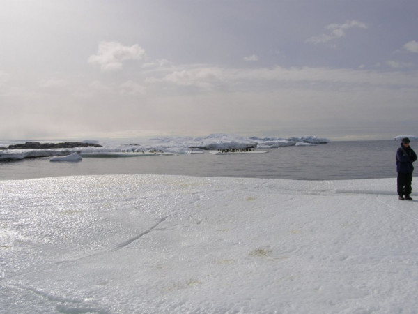 Our landing place - on floating ice
