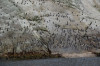 bottom of the rock slide