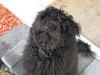 Marnie