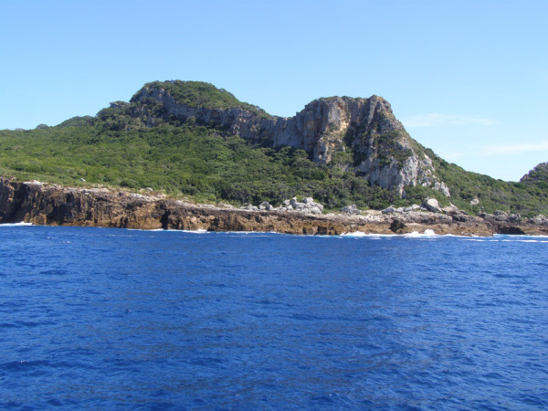 Aorangi Island - Puweto valley