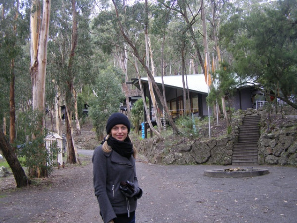 Art Gallery near Lorne