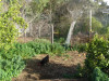 Organic farm