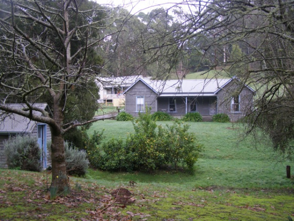 Allenvale cottages at Lorne