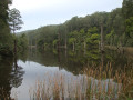 Lake Elizabeth - home to 5 platypus