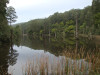 Lake Elizabeth - home to 5 platypus