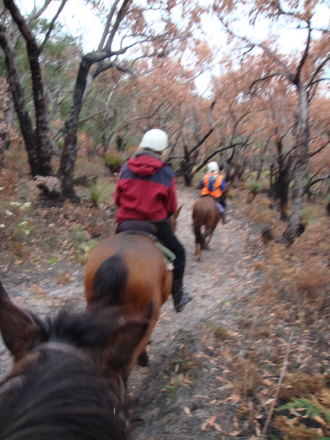 Action shot - Riding near Aireys Inlet