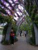 Brisbane -Grand Arbour. Don't walk too slowly under the ibis