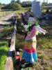 Peregian community garden