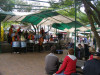 Steel band at Eumundi market