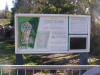 Peregian Beach community garden