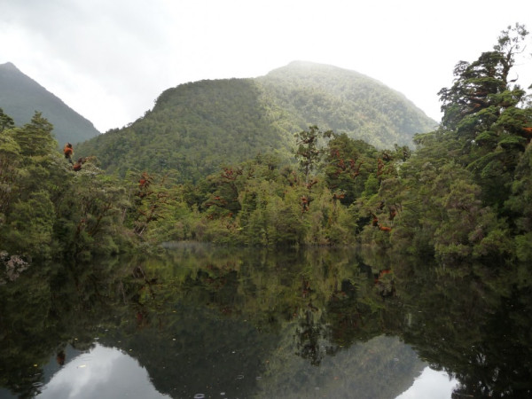Seaforth River