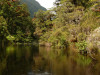 Seaforth River