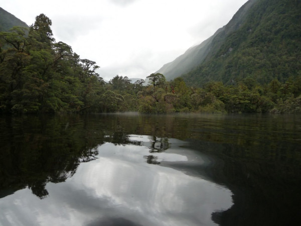 Towards the Seaforth River