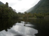 Towards the Seaforth River