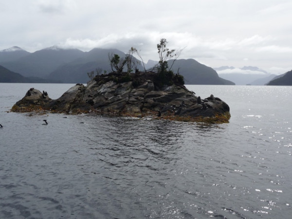 Calm waters in Dusky Sound