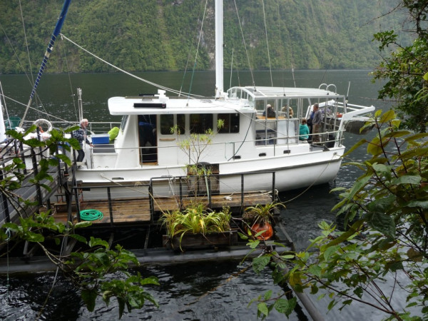 Breaksea Girl mooring at Deep Cove