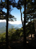 View of Lake Manapouri from Circle track