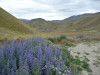 view from the Lindis Pass