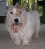Toby - 16 years old