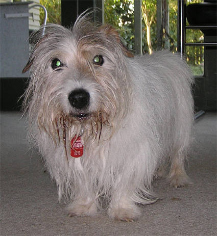 Toby - 16 years old