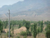 Northern China - Great Wall remains in the distance