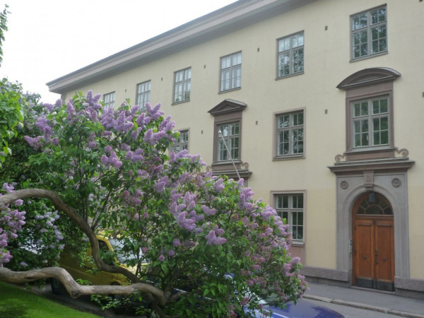 Helsinki near the university